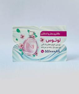 پروانه ای