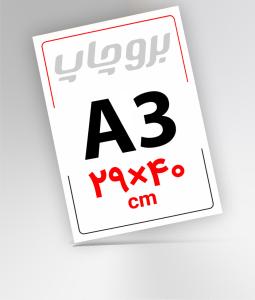 A3