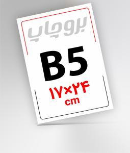B5