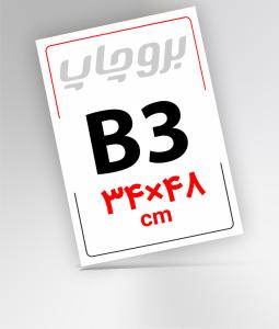 B3