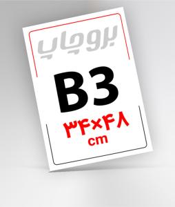 B3