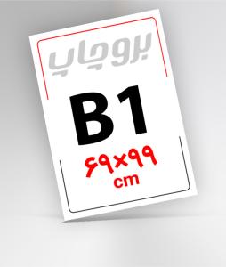 B1